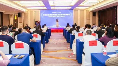 东莞市商务局补贴企业30万做独立站，鼓励拓展跨境电商，乐鱼助力拓展海外市场